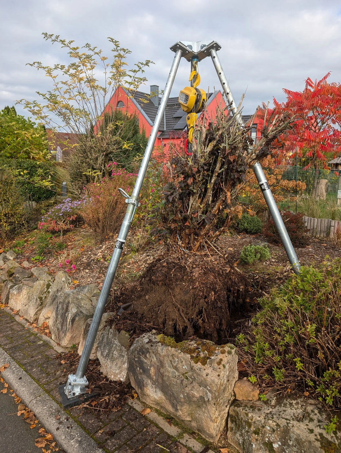 Baumwurzeln entfernen: Die beste Methode ohne Bagger, Wurzelfräse & Flurschäden