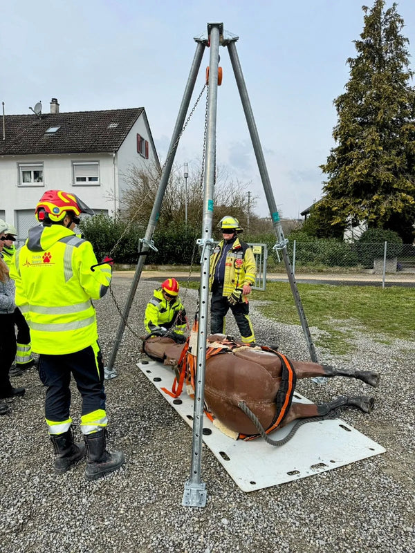 Feuerwehr übt Tierrettung: Ein Pferdedummy wird mit Bautri Rescue angehoben