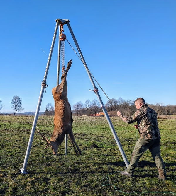 Wildgalgen (KI generiert)